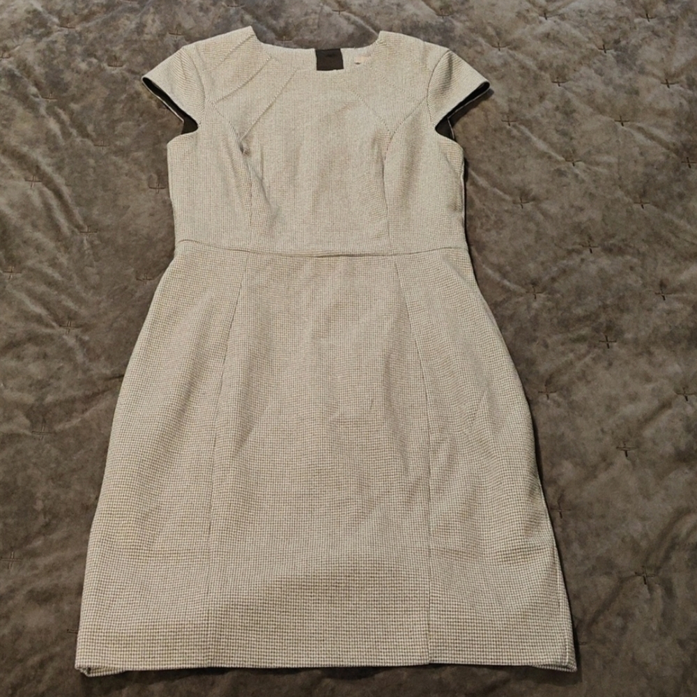 H&M Sheath Dress with Flutter Cap Sleeves